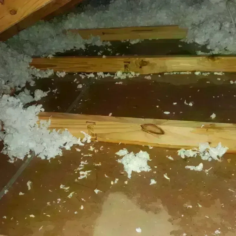 Attic Water Damage in Jonesville, VA